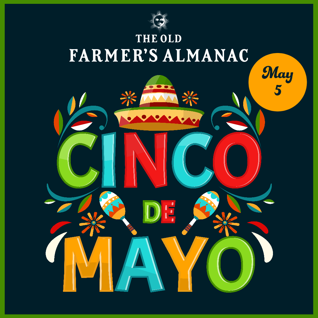 Cinco de Mayo Meaning, Food, and Facts